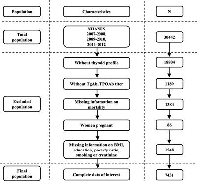 Association of thyroid autoimmunity with extra-thyroid diseases and the risk of mortality among adults: evidence from the NHANES